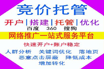 精准投放，高效转化：关键词竞价排名案例解析